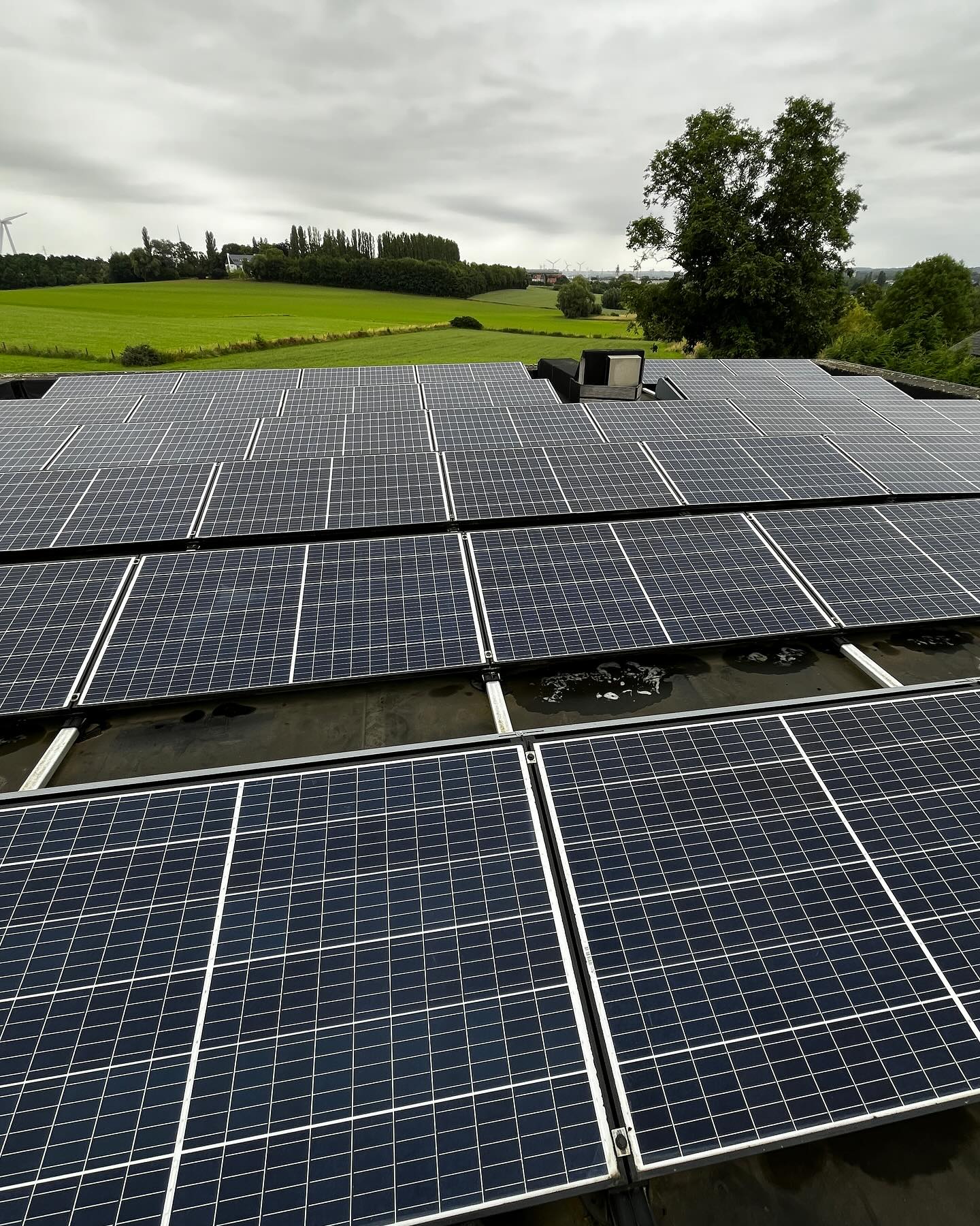 Nettoyage de panneaux solaires