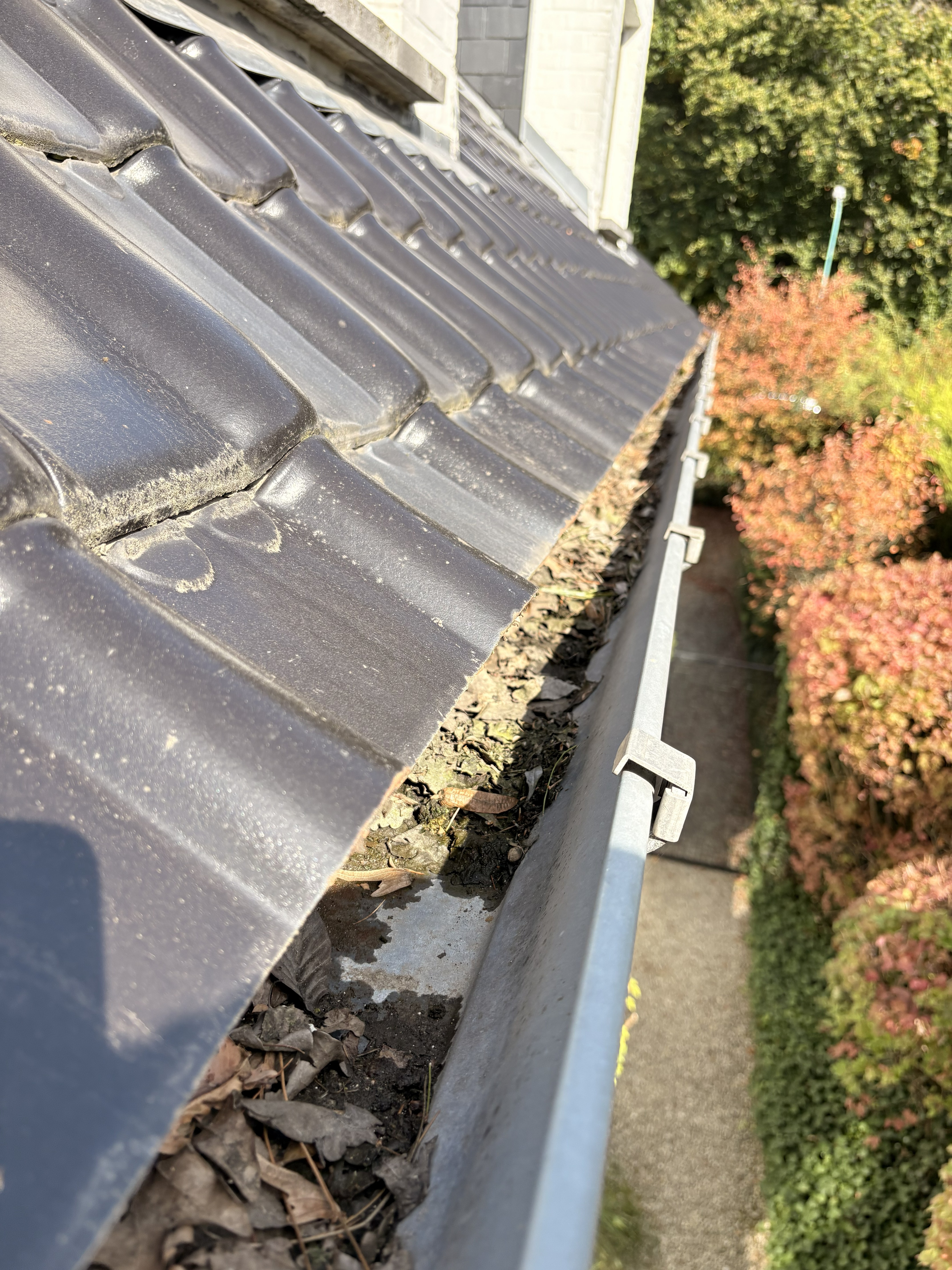 Nettoyage de gouttières